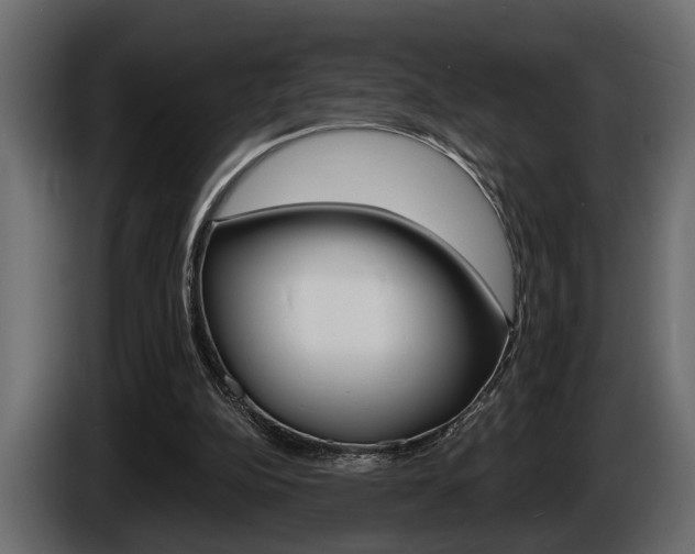X0000086000152200703230856
