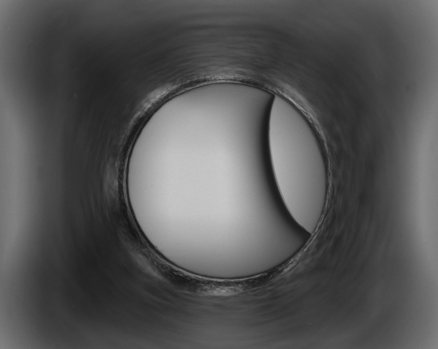 X0000086000155200703230856