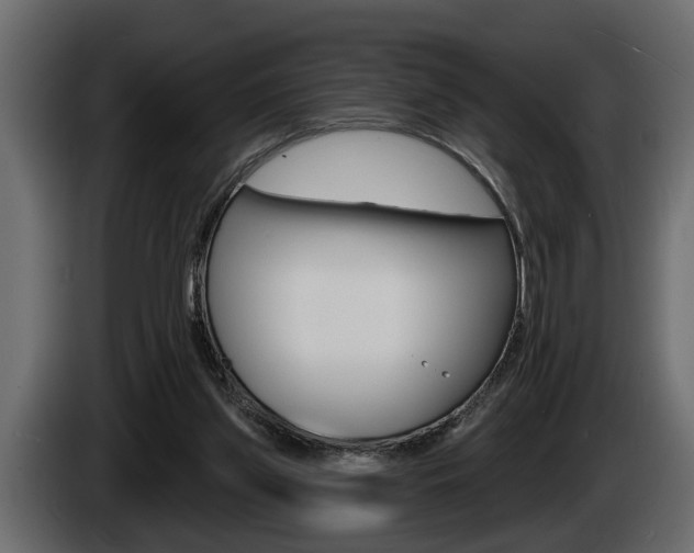 X0000086000157200703230857