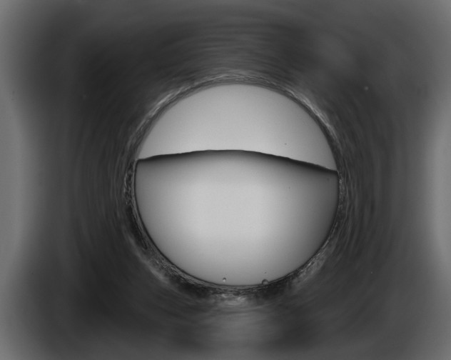 X0000086000159200703230857
