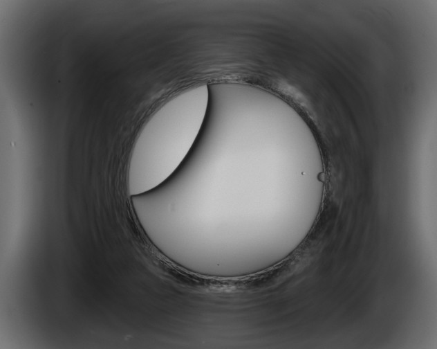 X0000086000161200703230857