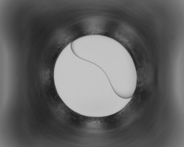 X0000086000162200703230857