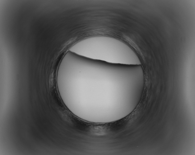 X0000086000163200703230857