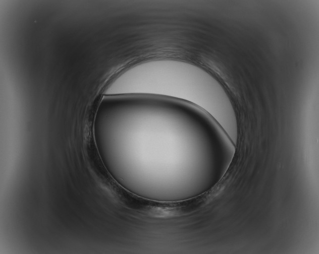 X0000086000164200703230857