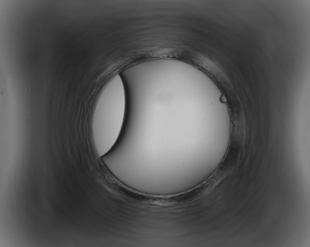 X0000086000165200703230857
