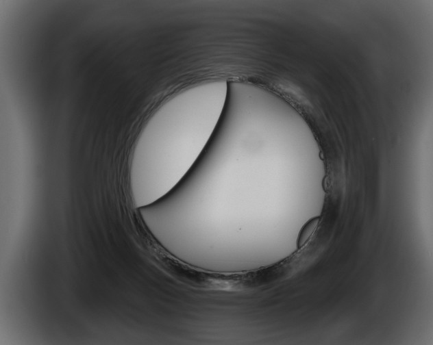 X0000086000167200703230857
