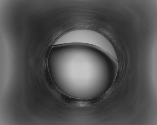X0000086000168200703230857