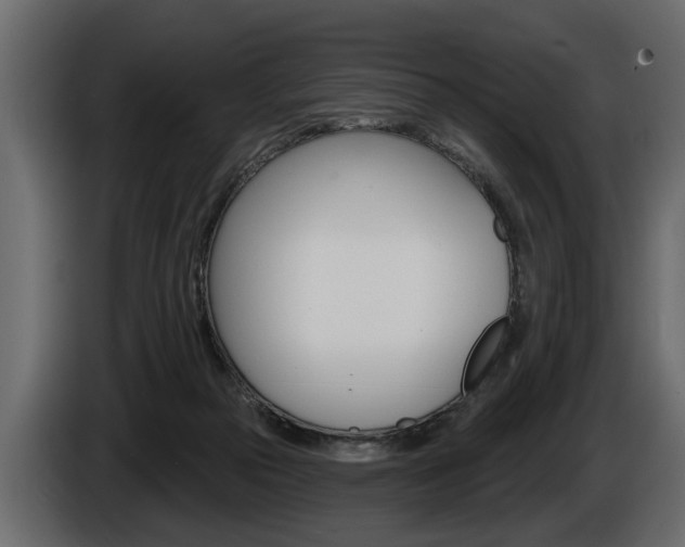 X0000086000169200703230857