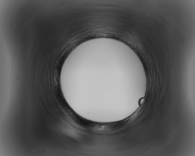 X0000086000174200703230857