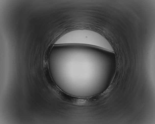 X0000086000176200703230857