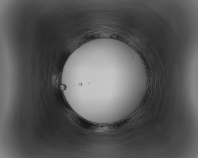 X0000086000177200703230857