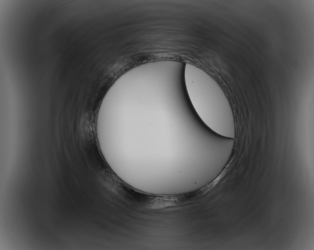X0000086000179200703230857