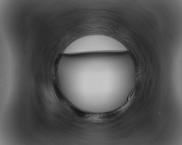 X0000086000182200703230857
