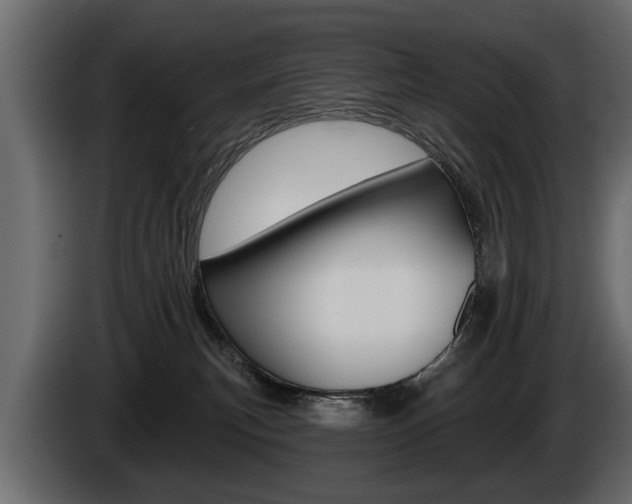 X0000086000183200703230857