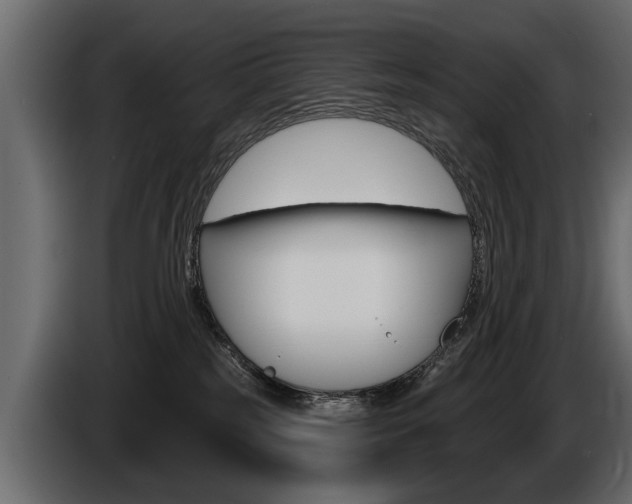 X0000086000185200703230857