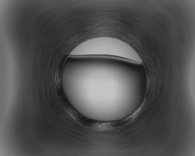 X0000086000186200703230857