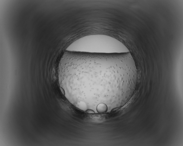 X0000086000187200703230857