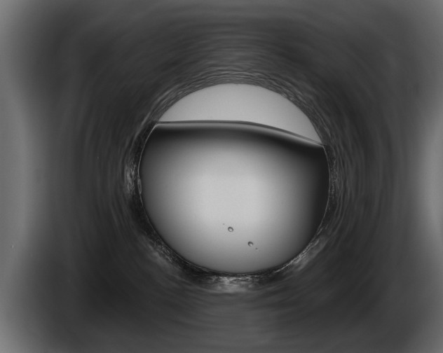 X0000086000188200703230857