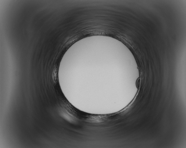 X0000086000190200703230857
