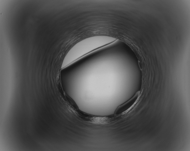 X0000086000192200703230857