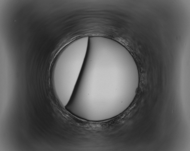 X0000086000194200703230856