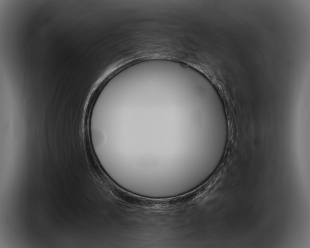 X0000086000196200703230856