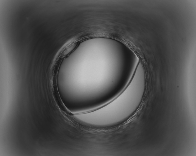 X0000086000197200703230856