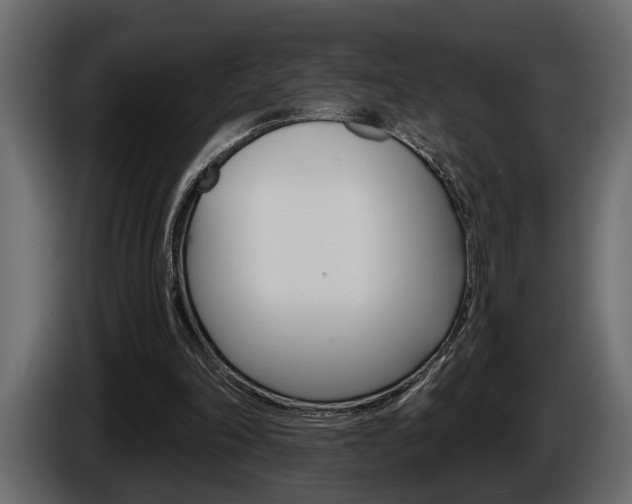 X0000086000198200703230856