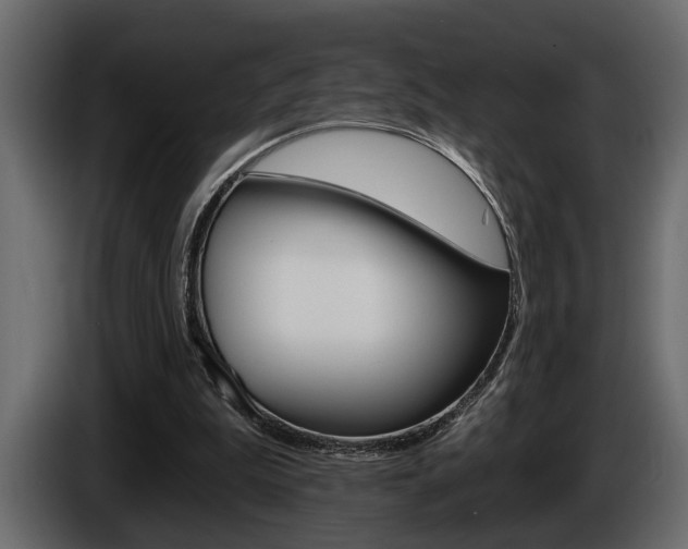 X0000086000199200703230856