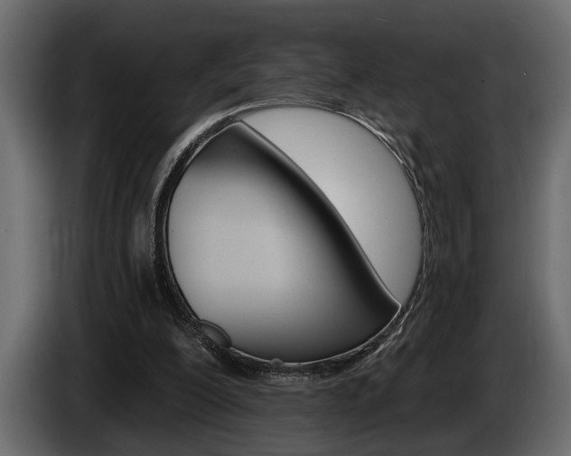 X0000086000200200703230856