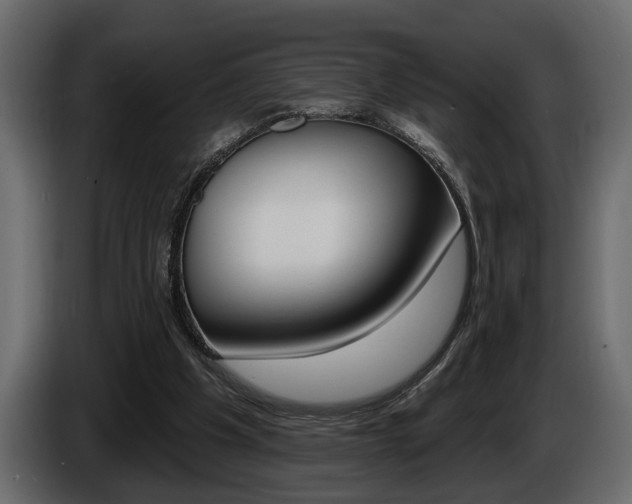 X0000086000201200703230856