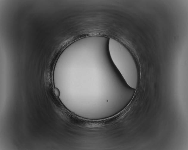 X0000086000202200703230856