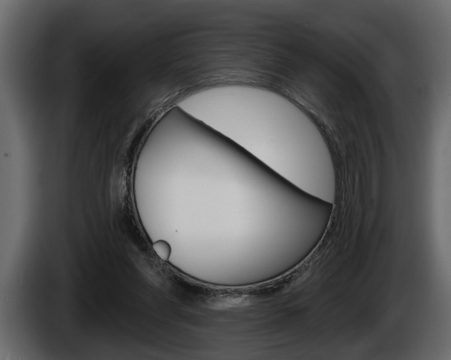 X0000086000206200703230856