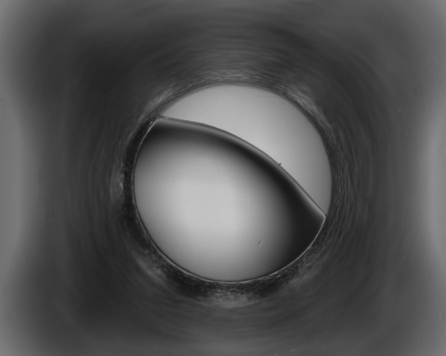 X0000086000207200703230856