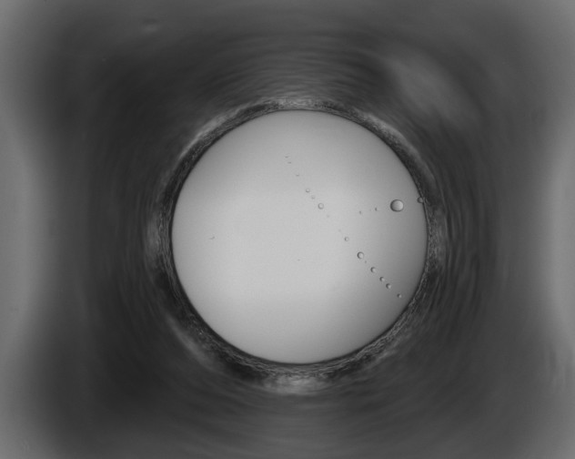 X0000086000208200703230856