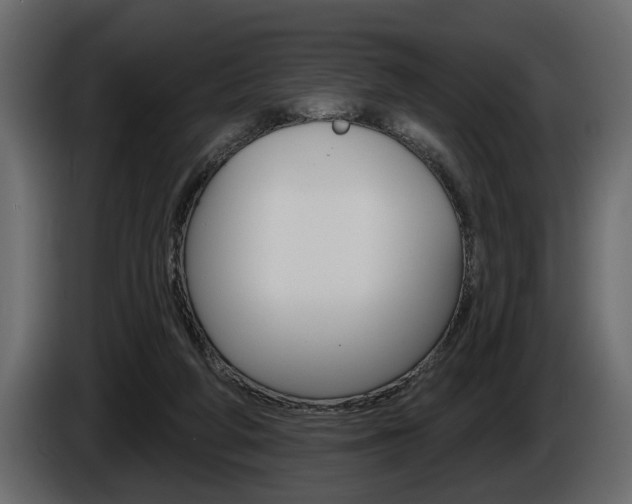 X0000086000210200703230856