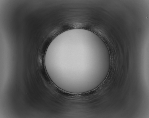 X0000086000214200703230856