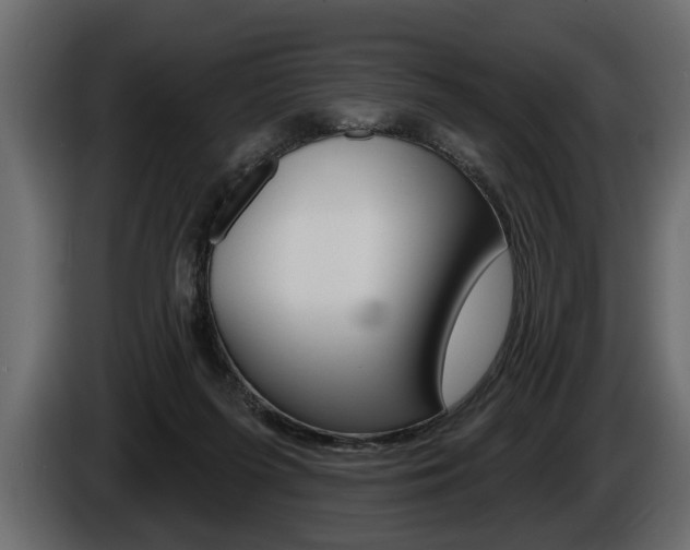 X0000086000215200703230856