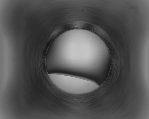 X0000086000216200703230856