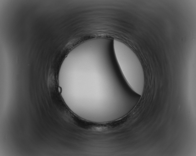 X0000086000220200703230856