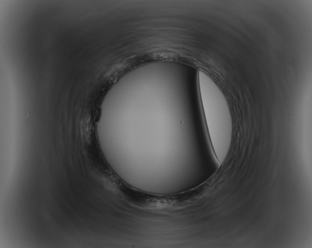 X0000086000223200703230856