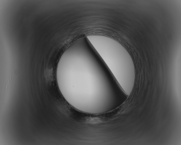 X0000086000224200703230856