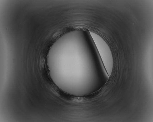 X0000086000227200703230856