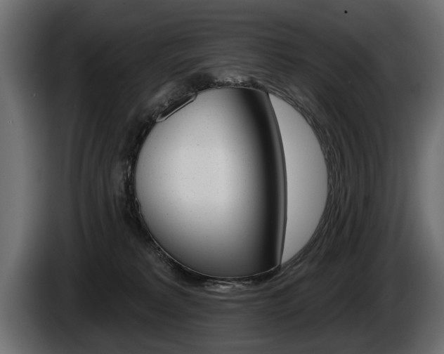 X0000086000229200703230856