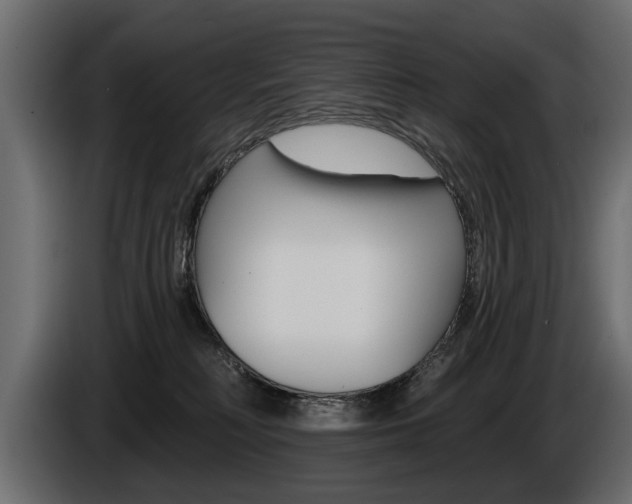 X0000086000230200703230856