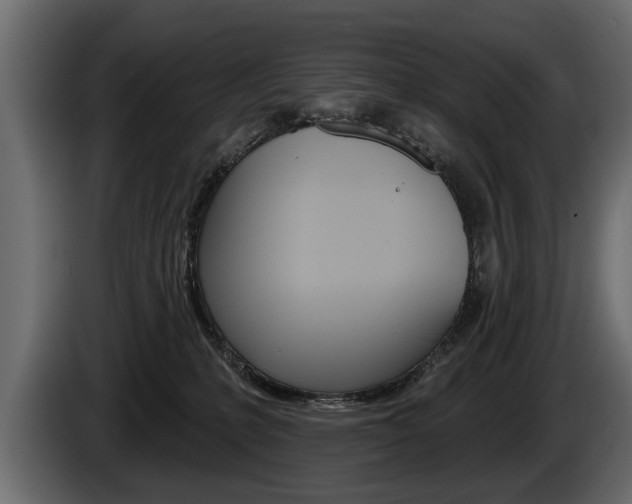 X0000086000231200703230856