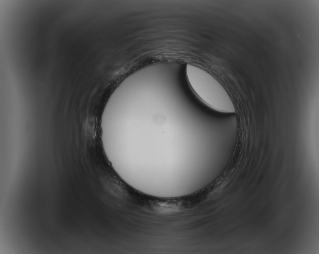 X0000086000232200703230856