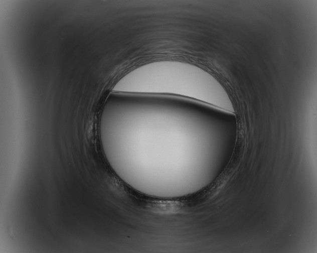 X0000086000233200703230856