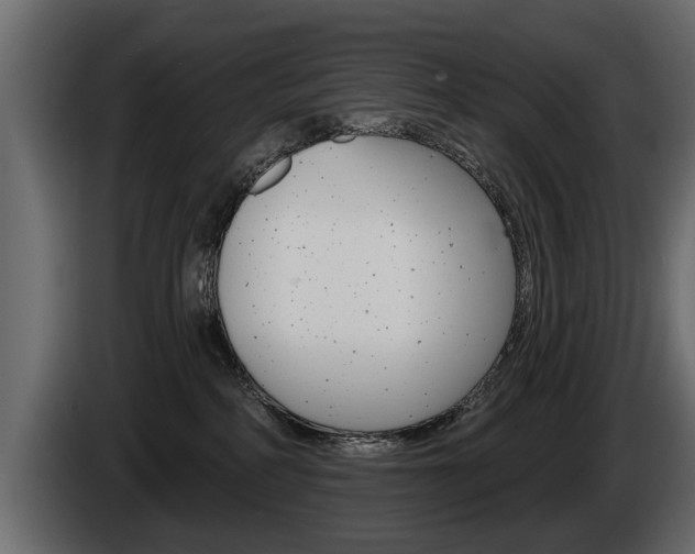 X0000086000234200703230856