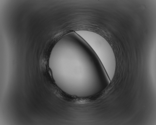 X0000086000235200703230856